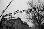 Auschwitz eingang