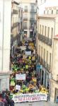 Manifestación contra las Minas a cielo abierto en Avila